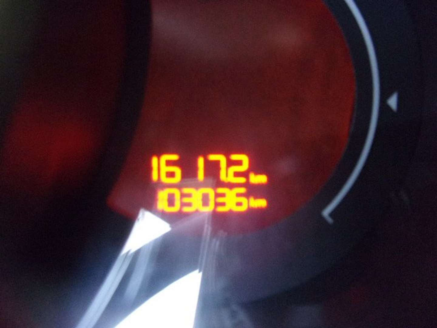 Autocerfoglia