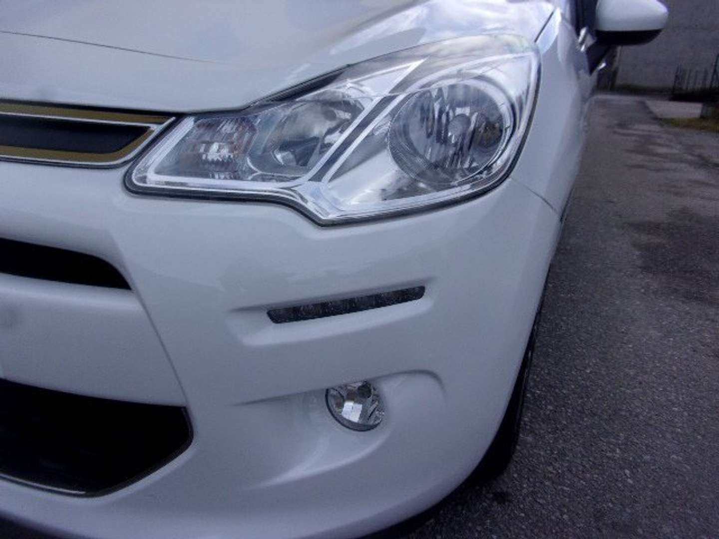 Autocerfoglia