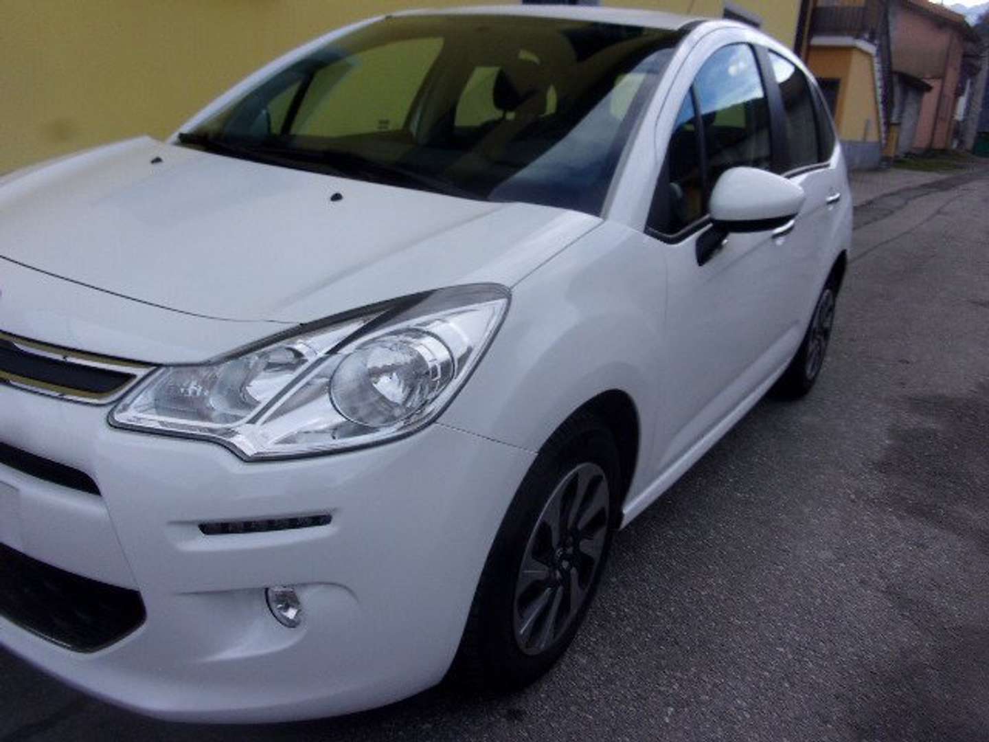 Autocerfoglia