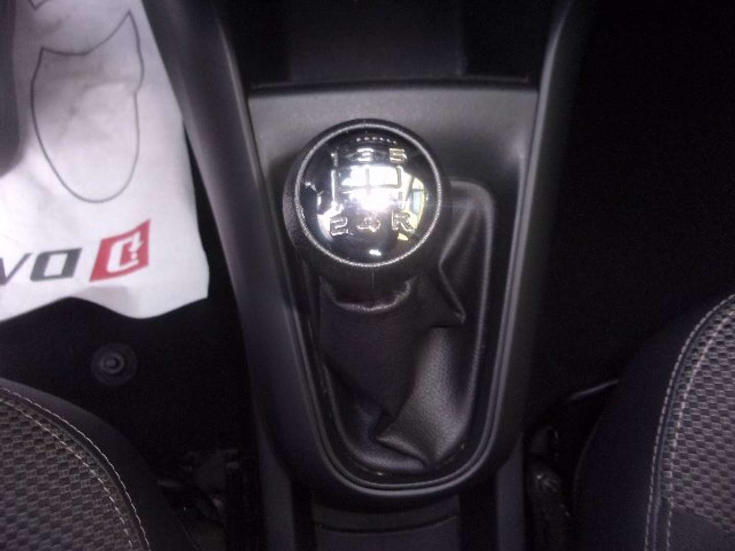 Autocerfoglia