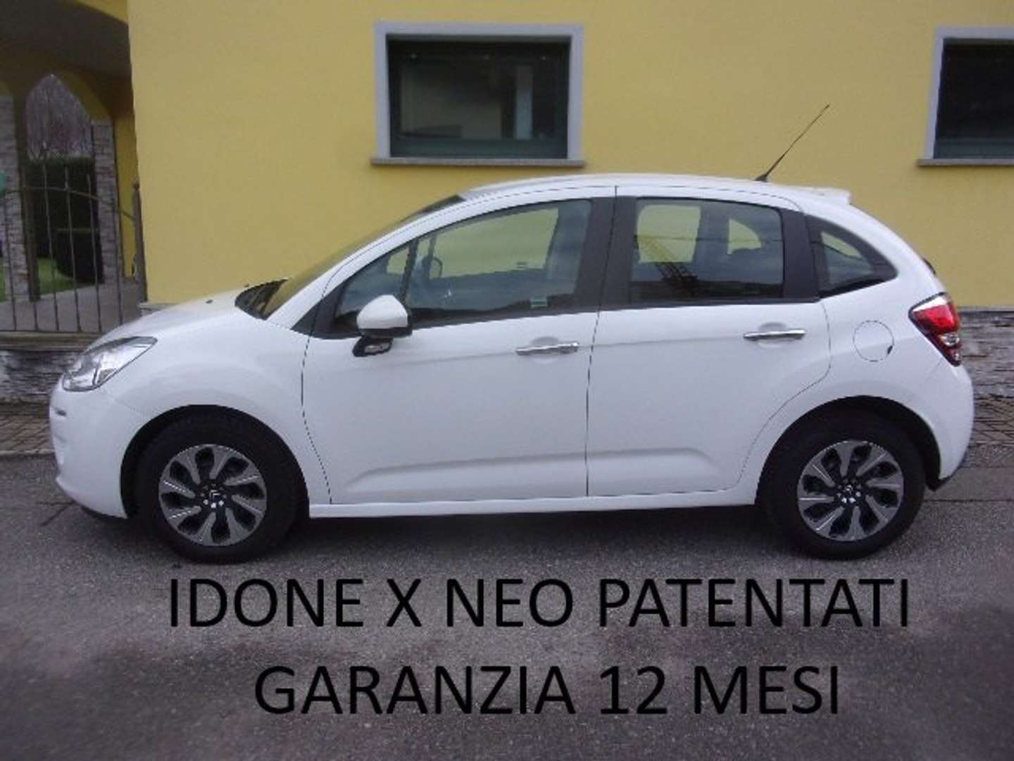 Autocerfoglia