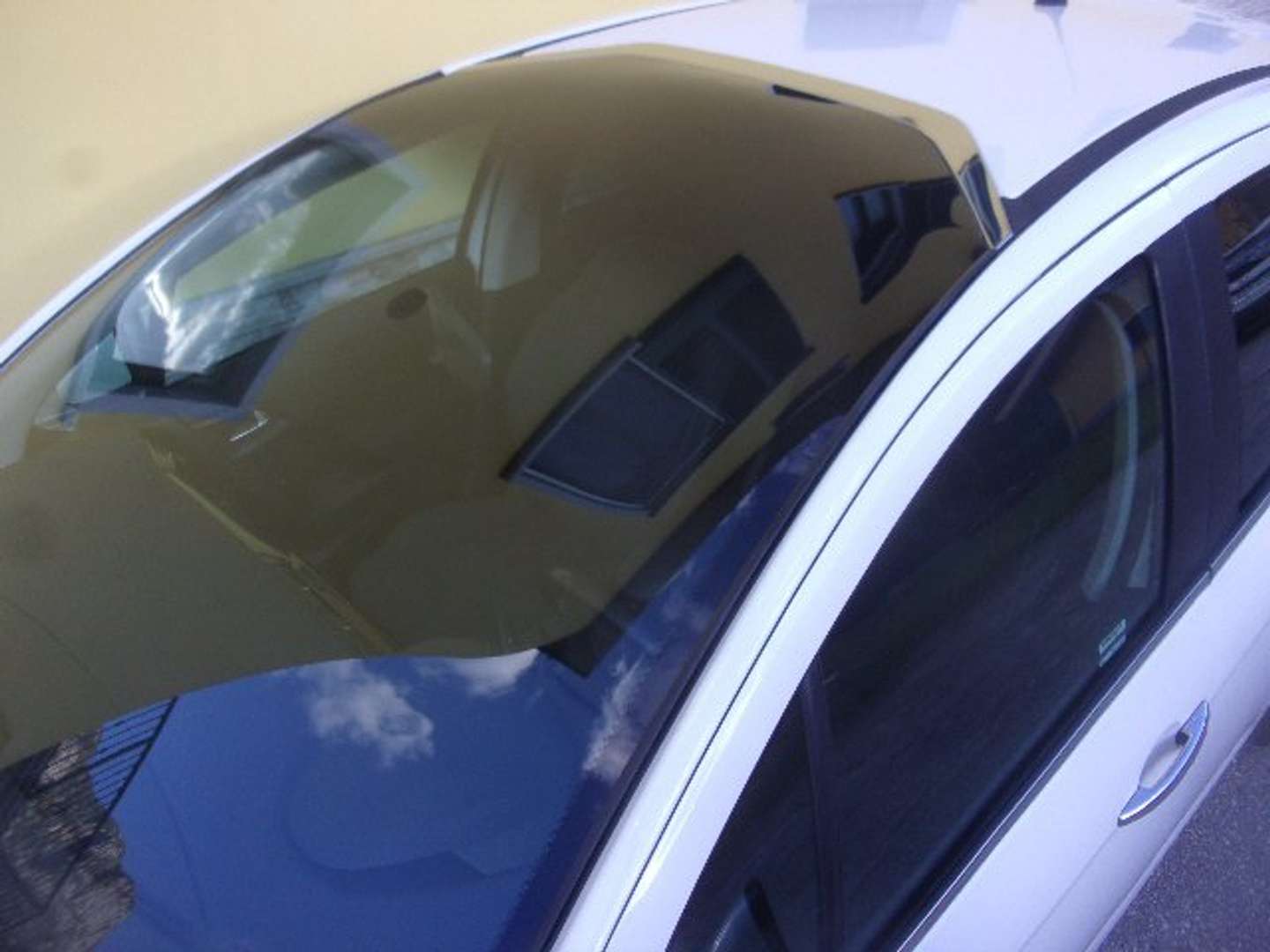 Autocerfoglia