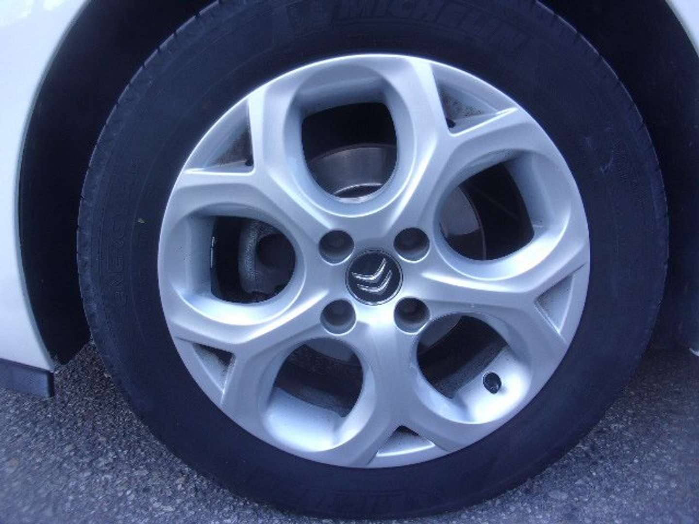 Autocerfoglia