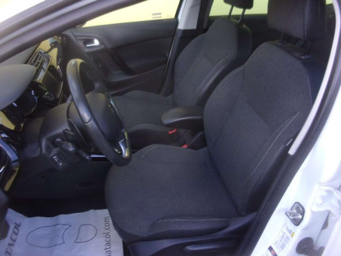 Autocerfoglia