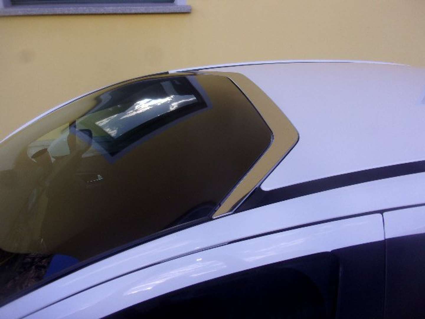 Autocerfoglia