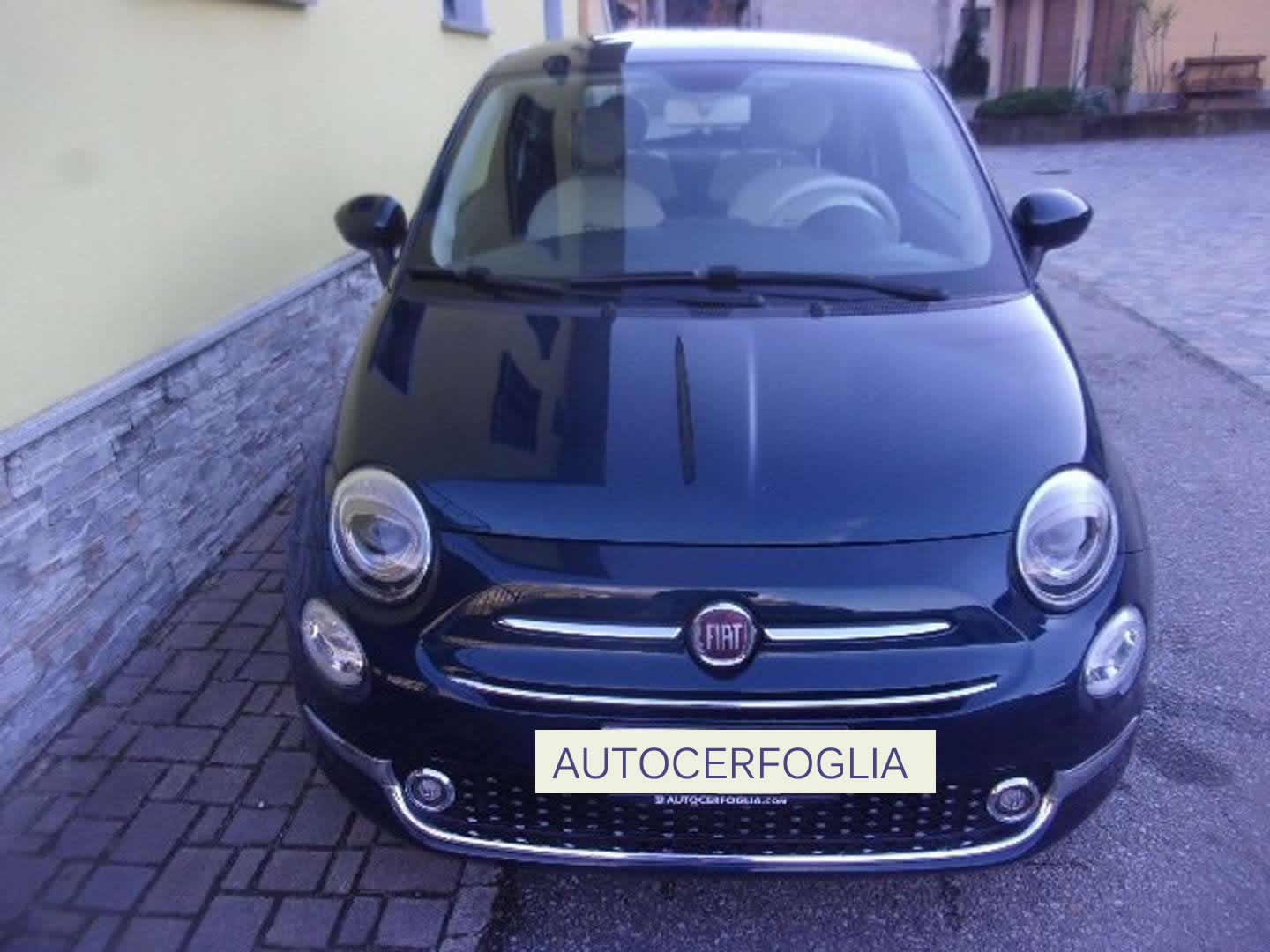 Autocerfoglia