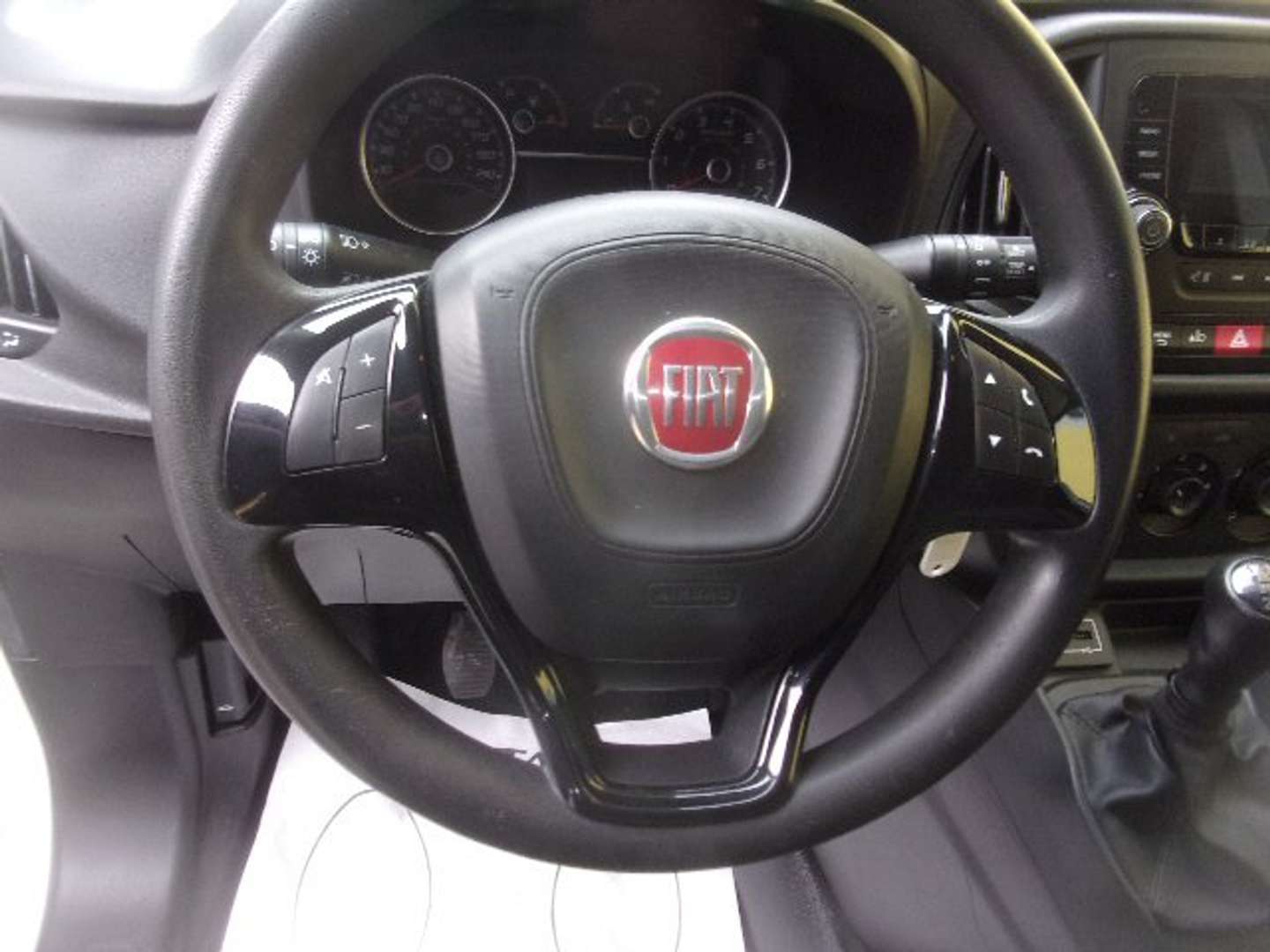 Autocerfoglia