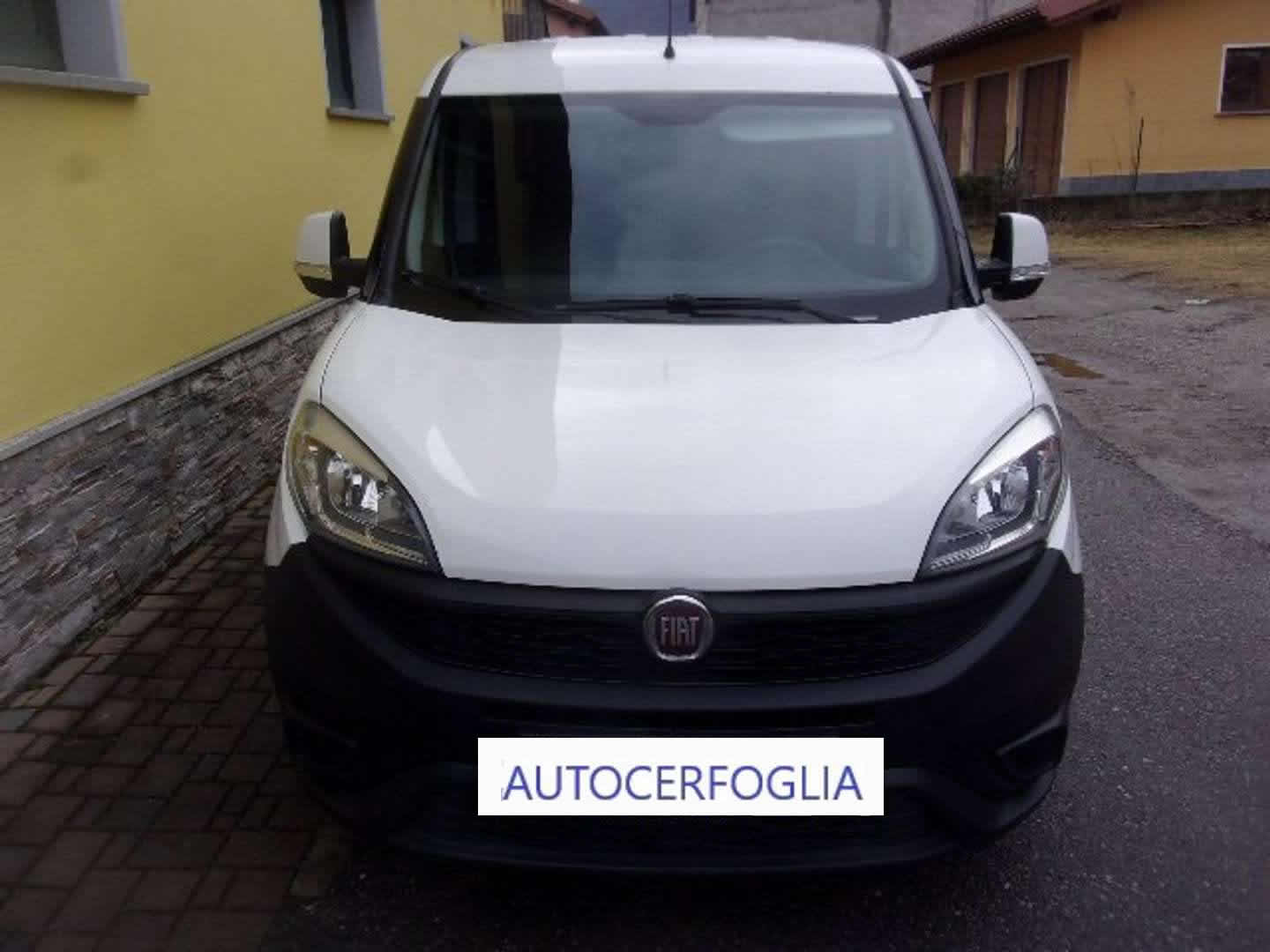 Autocerfoglia