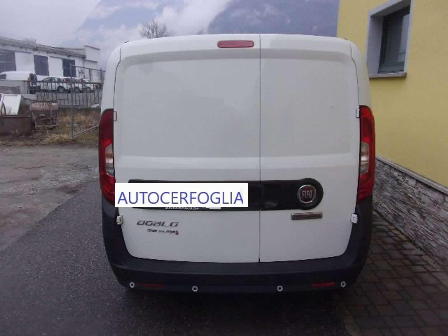 Autocerfoglia