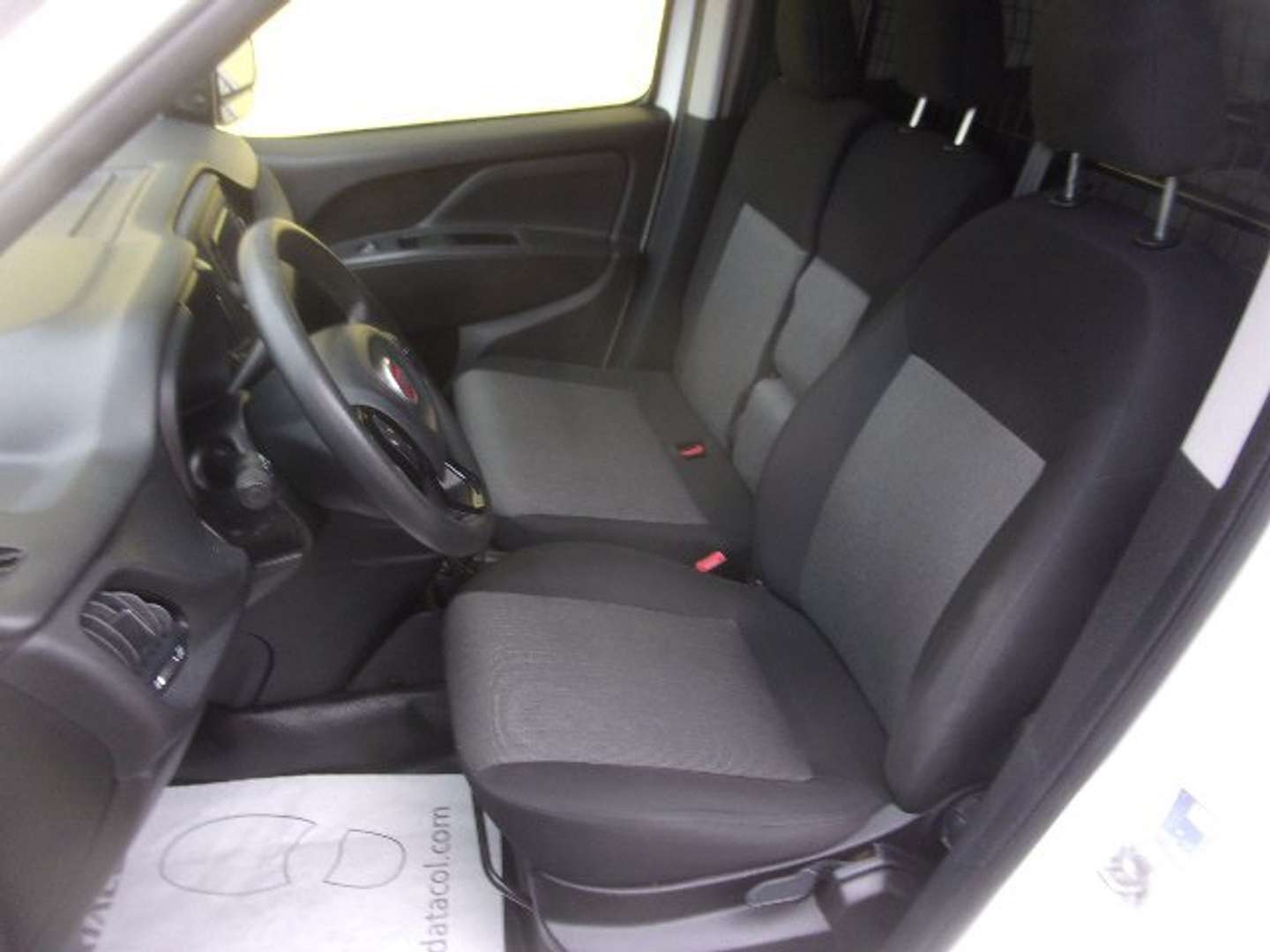 Autocerfoglia