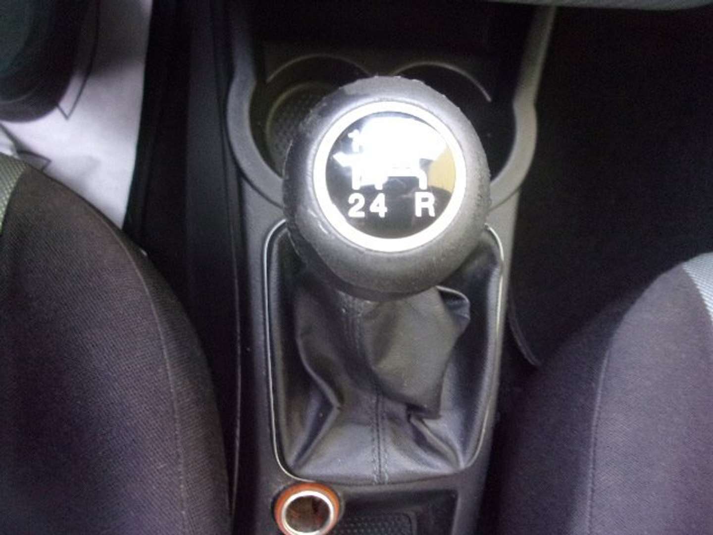 Autocerfoglia