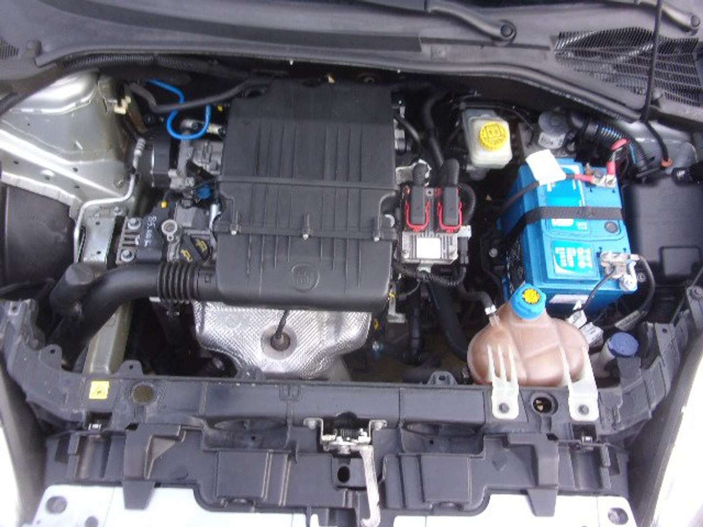 Autocerfoglia