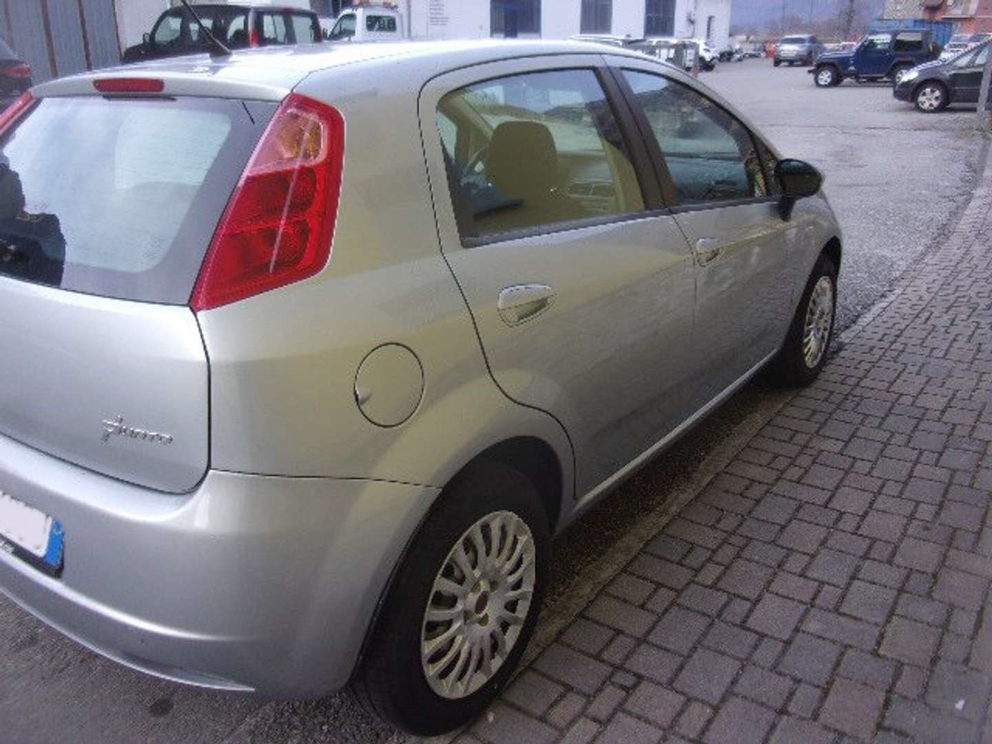 Autocerfoglia