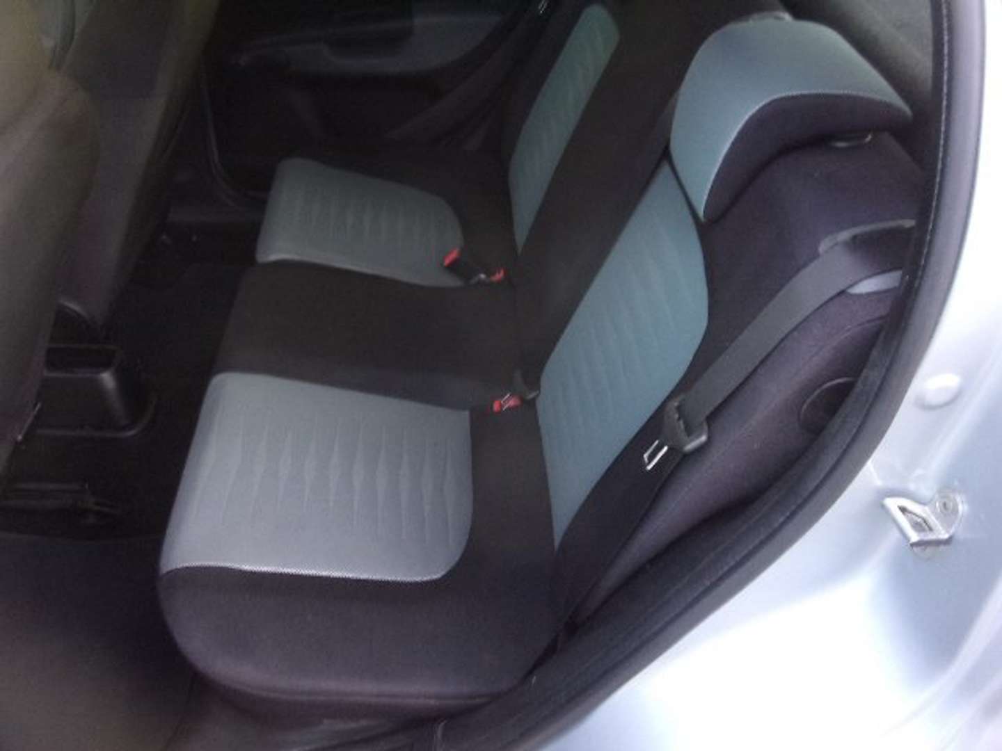 Autocerfoglia
