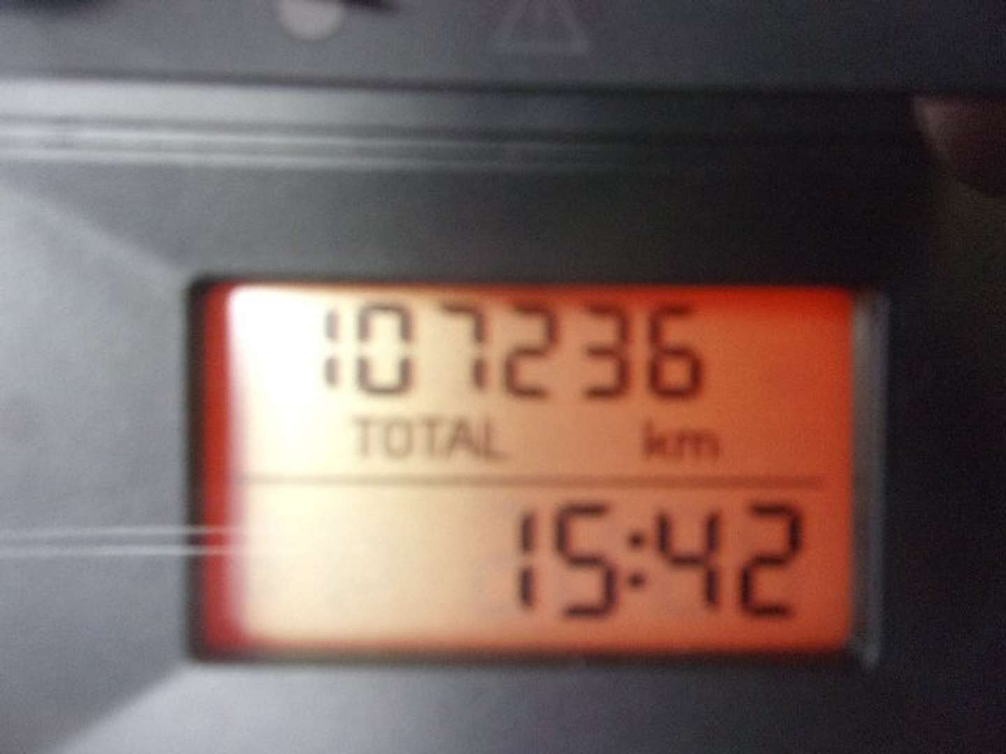Autocerfoglia
