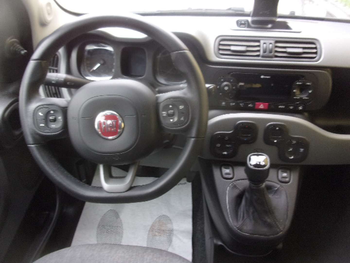 Autocerfoglia