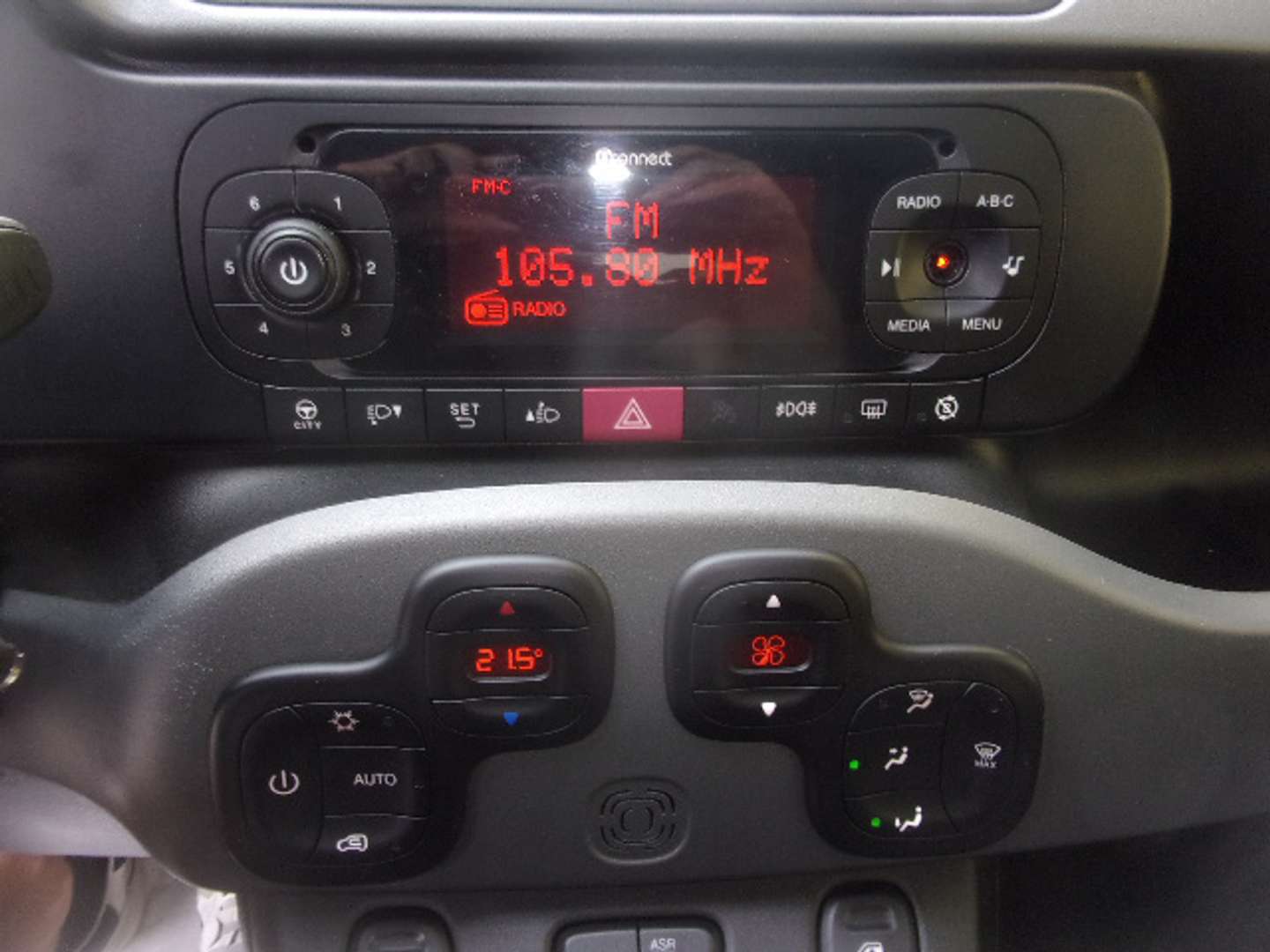 Autocerfoglia