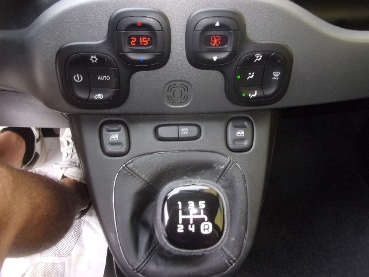 Autocerfoglia