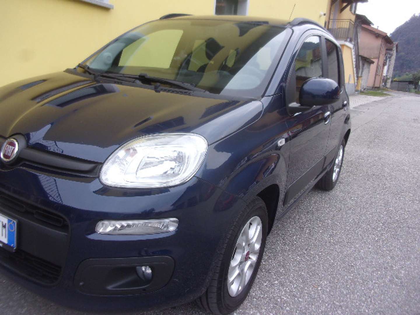 Autocerfoglia