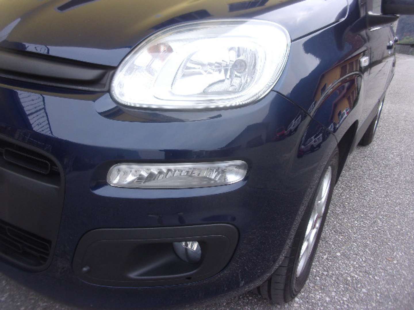 Autocerfoglia