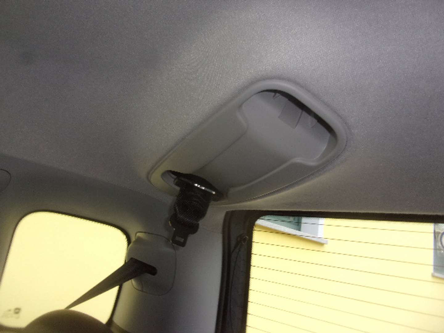 Autocerfoglia
