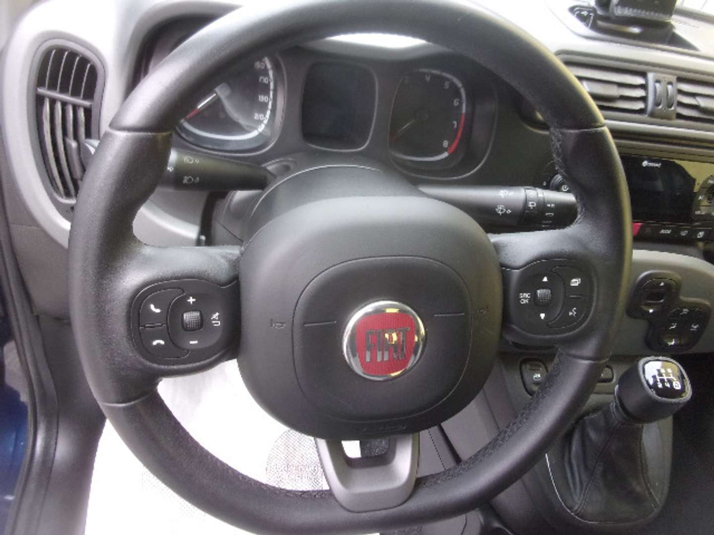 Autocerfoglia