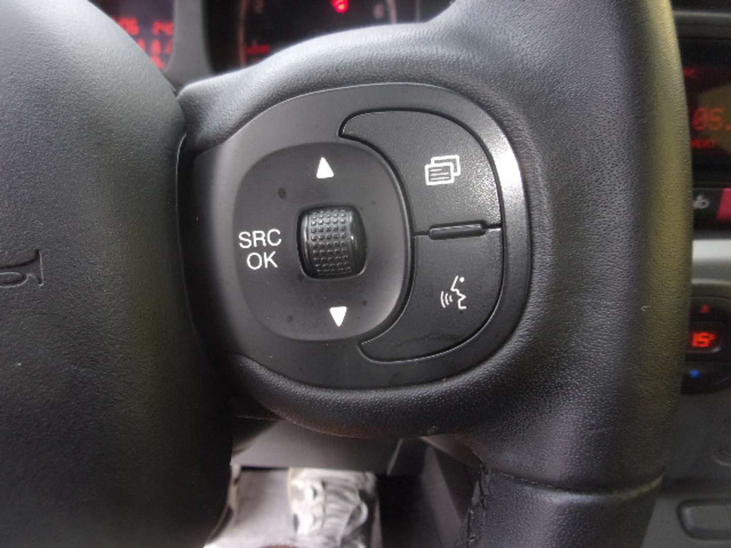 Autocerfoglia