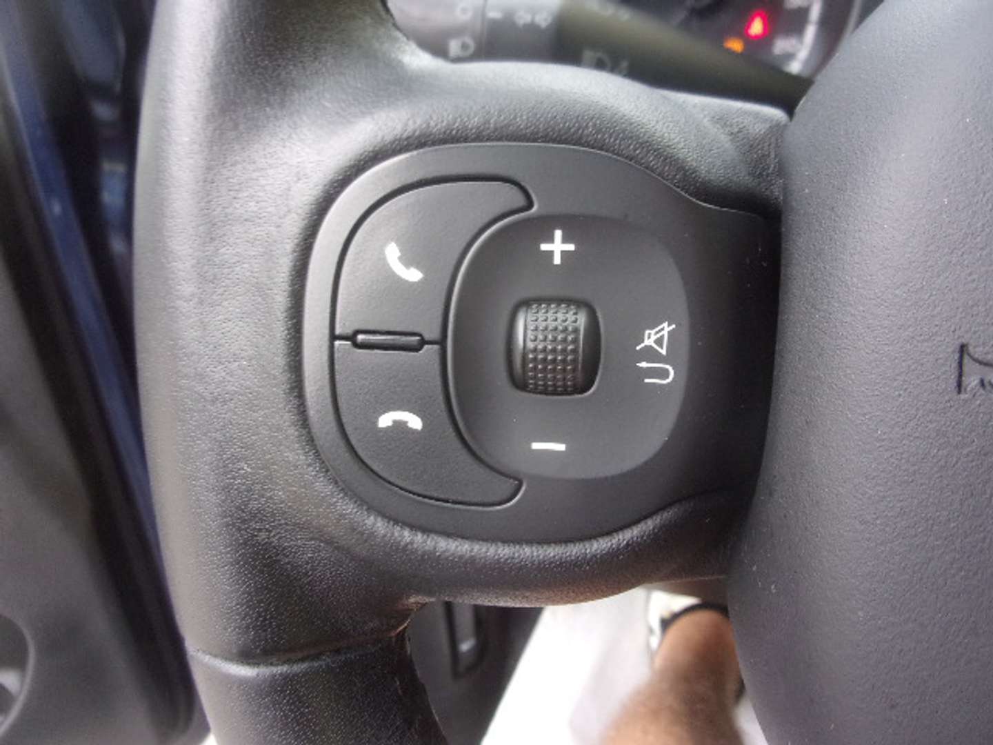 Autocerfoglia