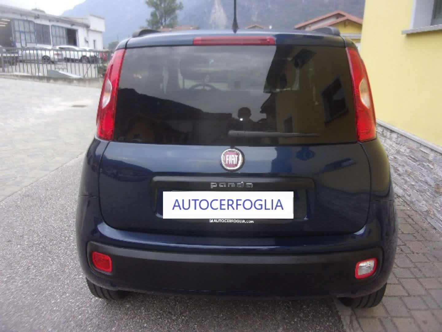 Autocerfoglia