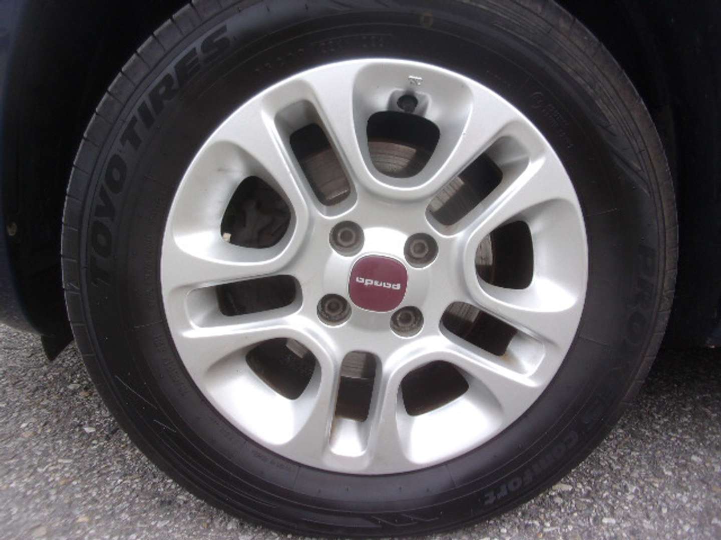 Autocerfoglia