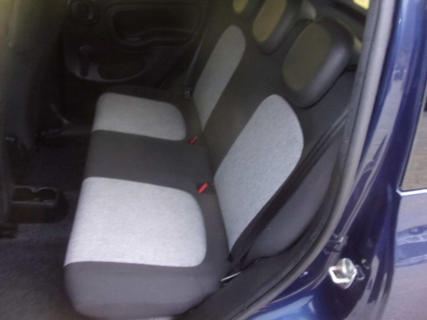 Autocerfoglia