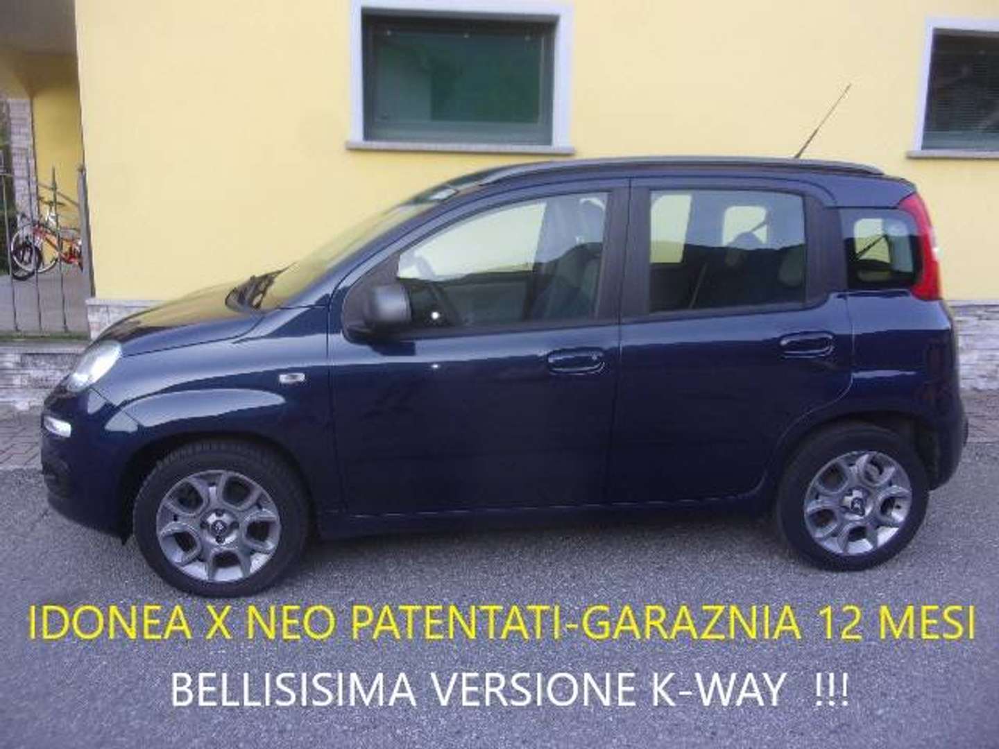 Autocerfoglia