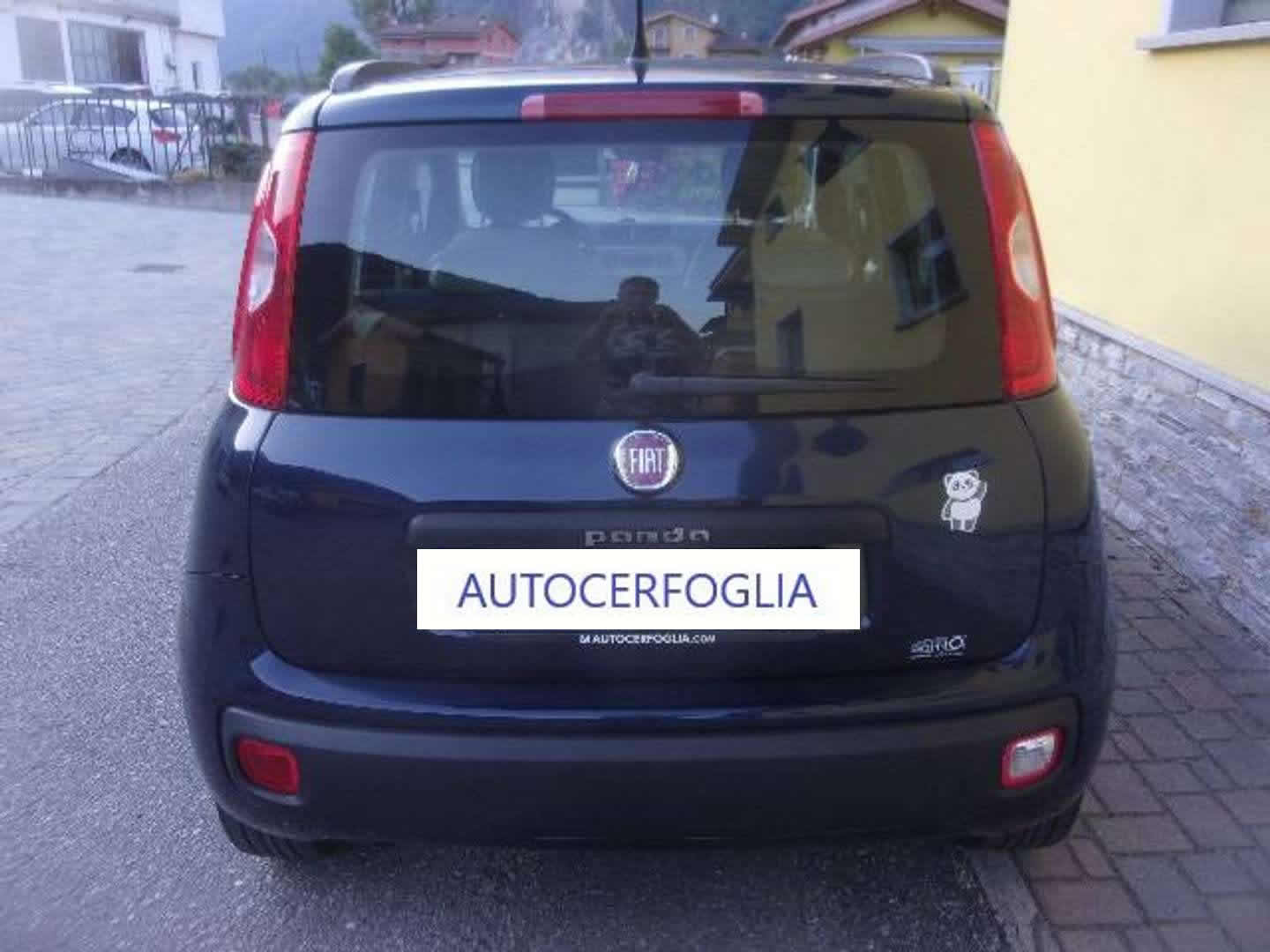 Autocerfoglia