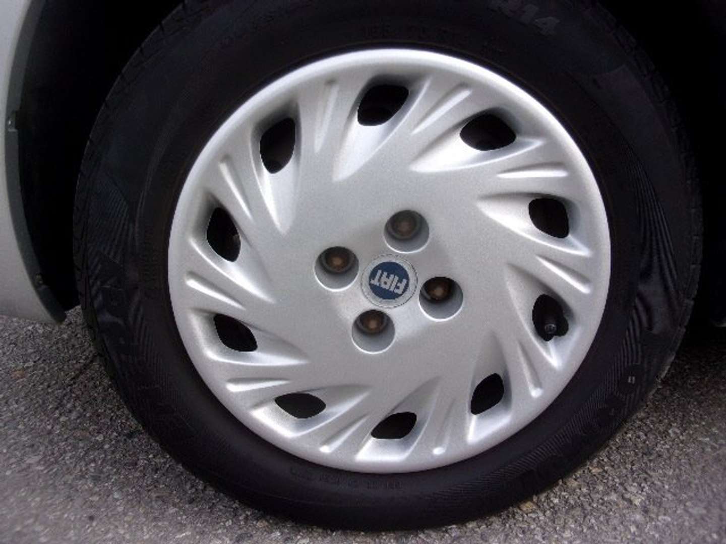 Autocerfoglia