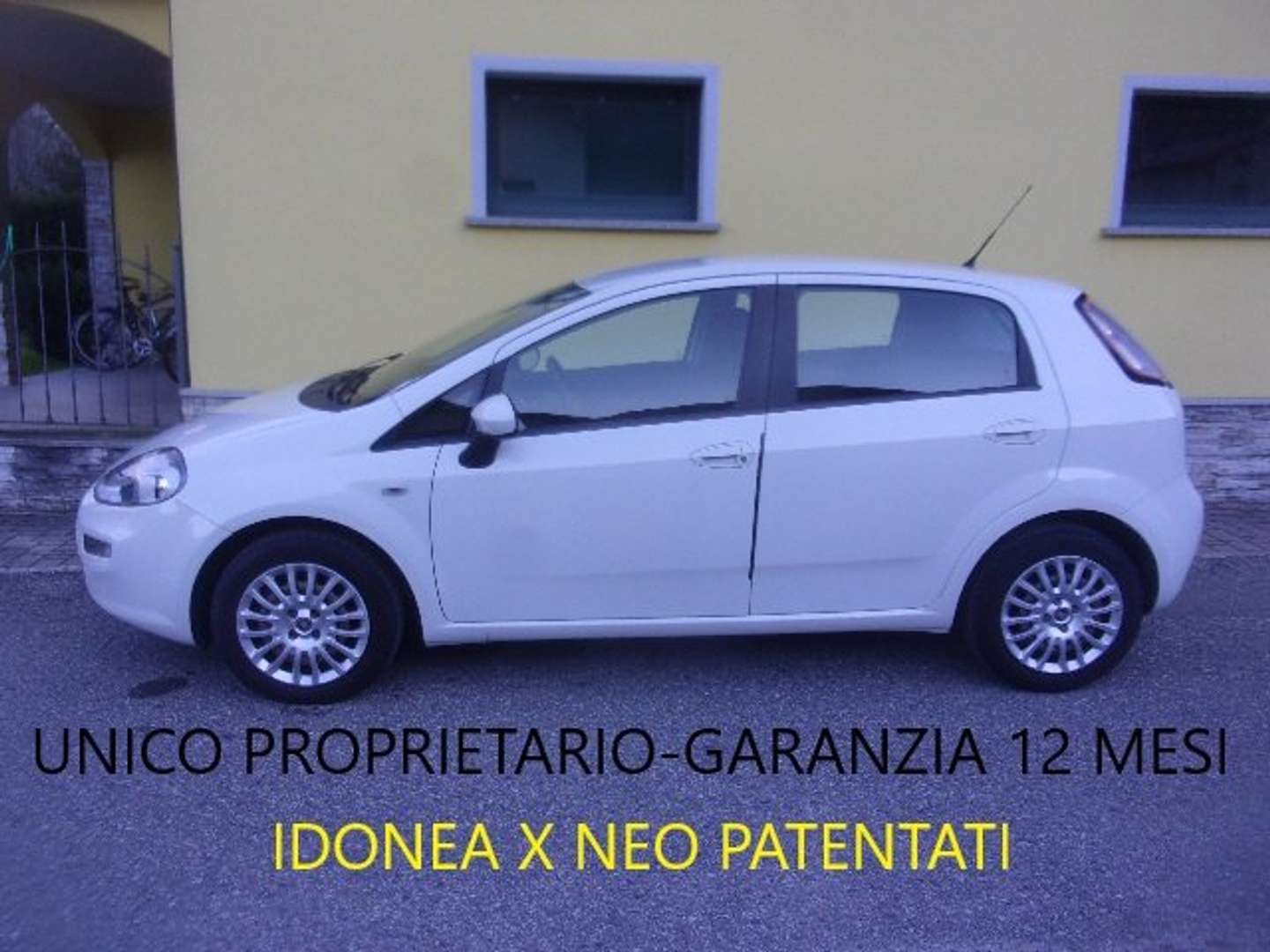 Autocerfoglia