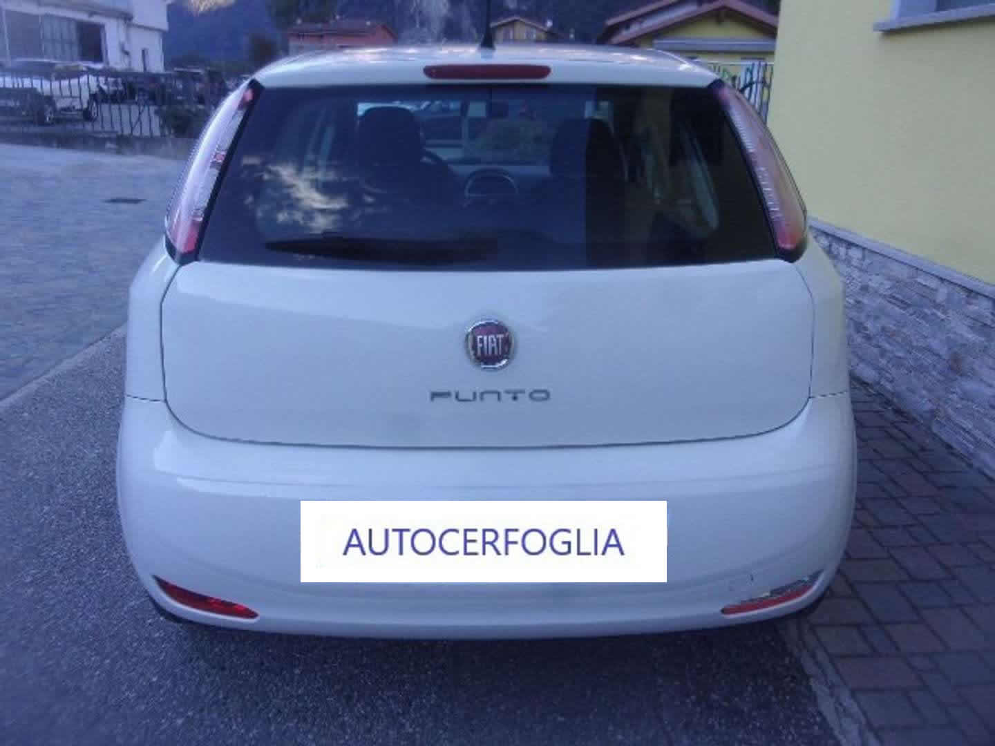Autocerfoglia