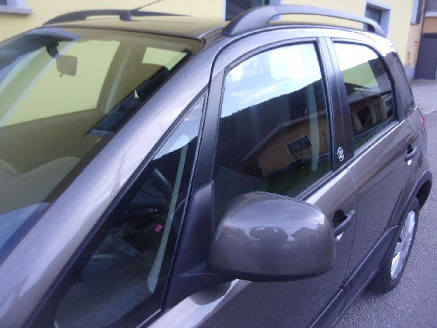 Autocerfoglia