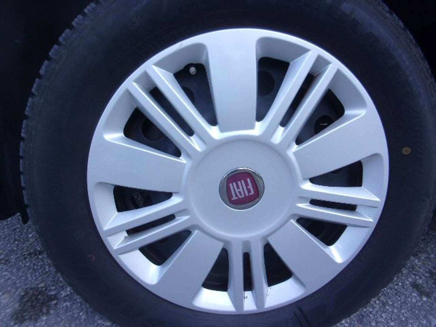 Autocerfoglia