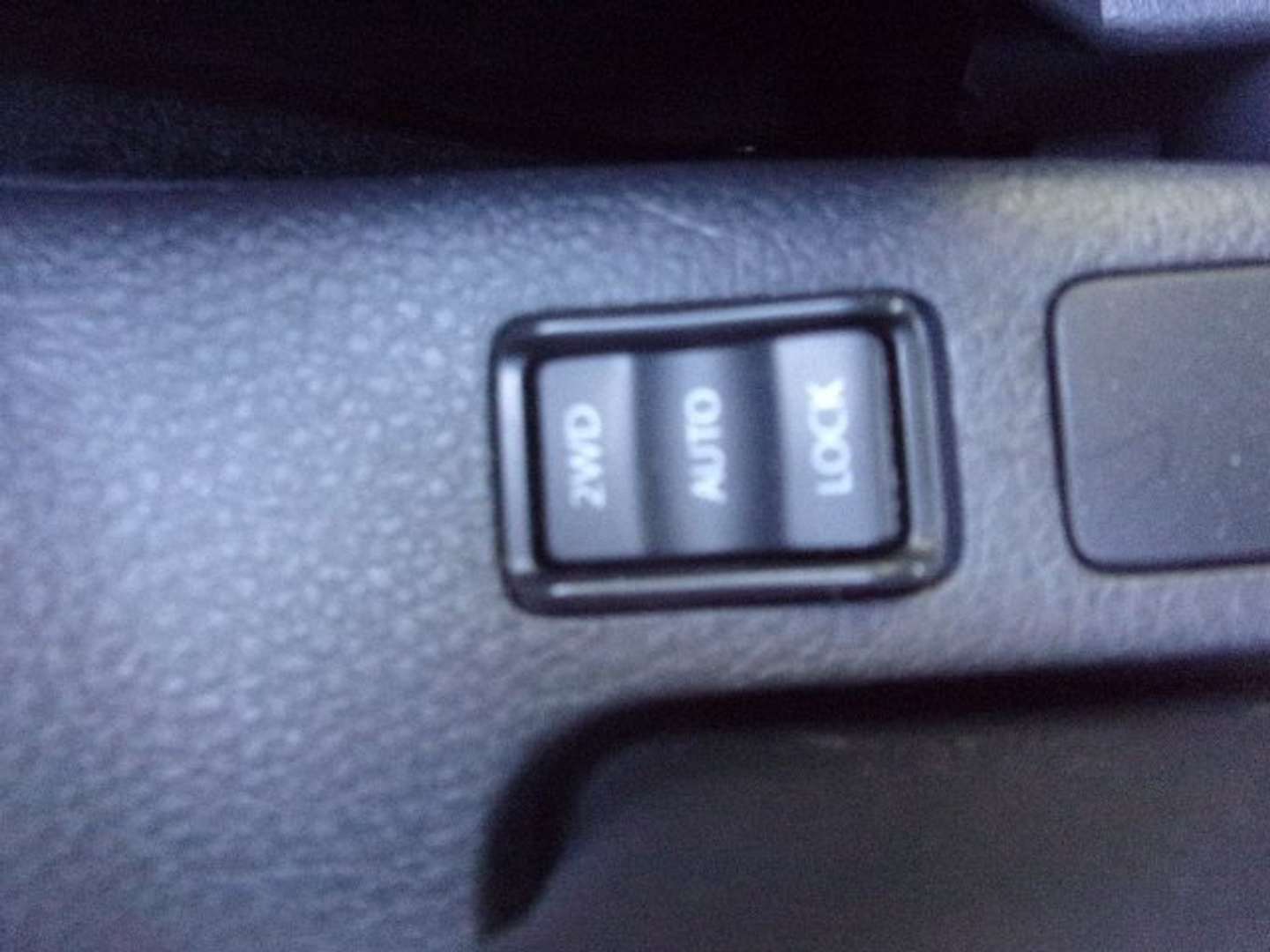 Autocerfoglia