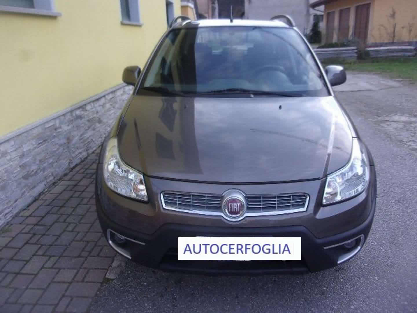 Autocerfoglia