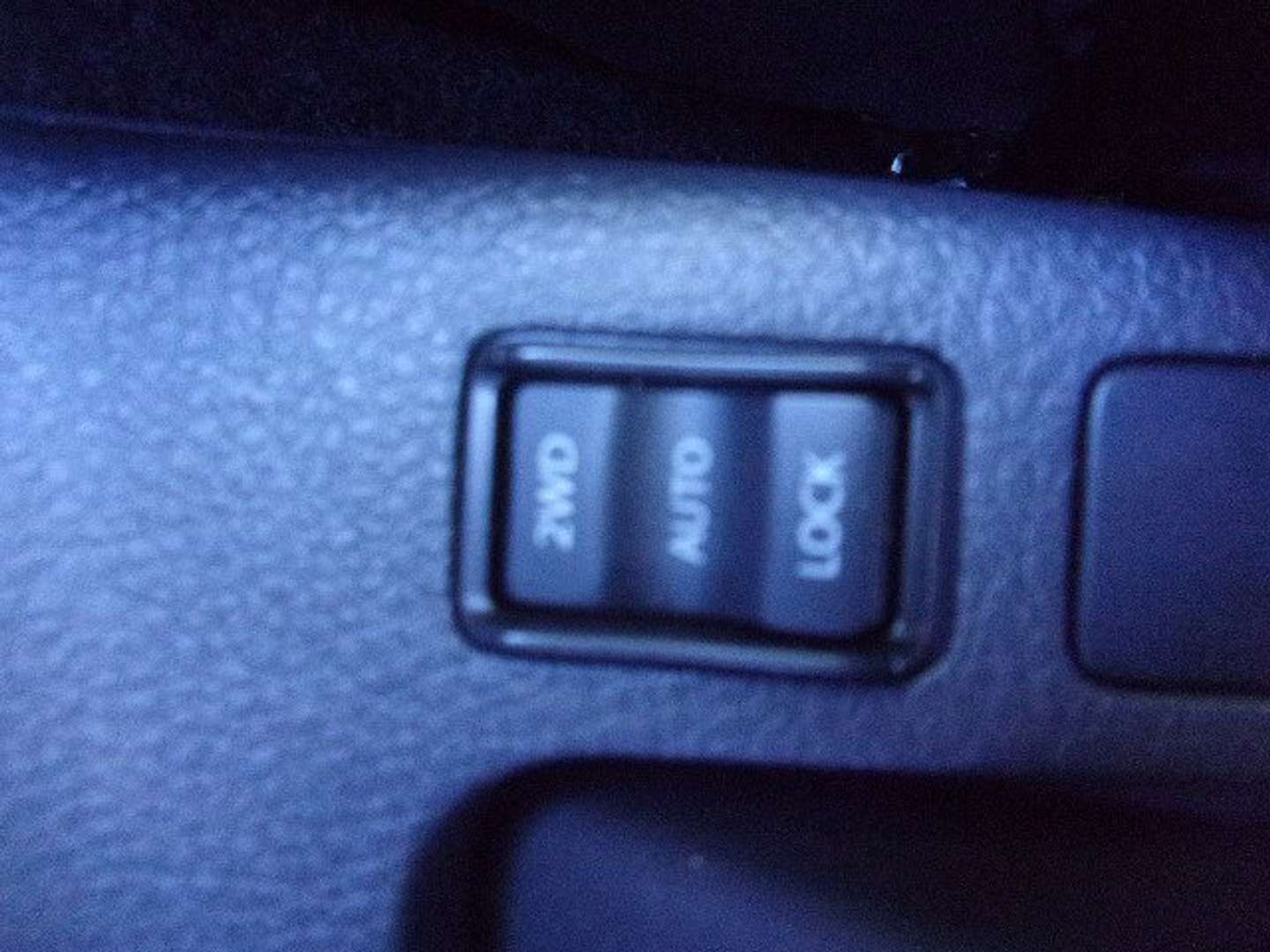 Autocerfoglia