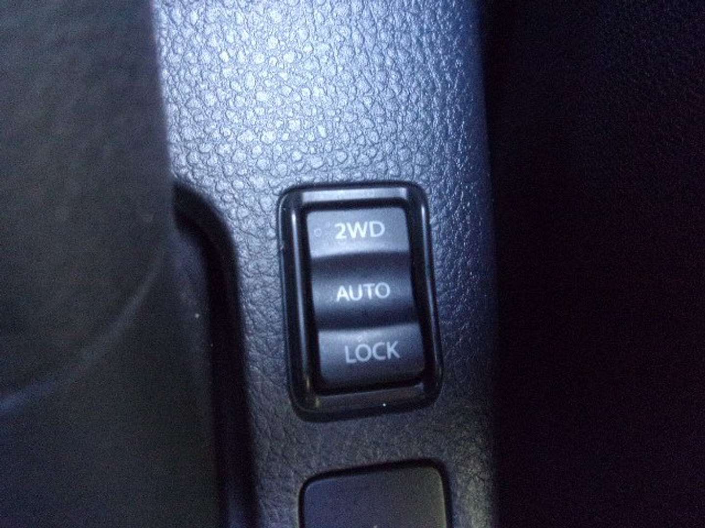 Autocerfoglia