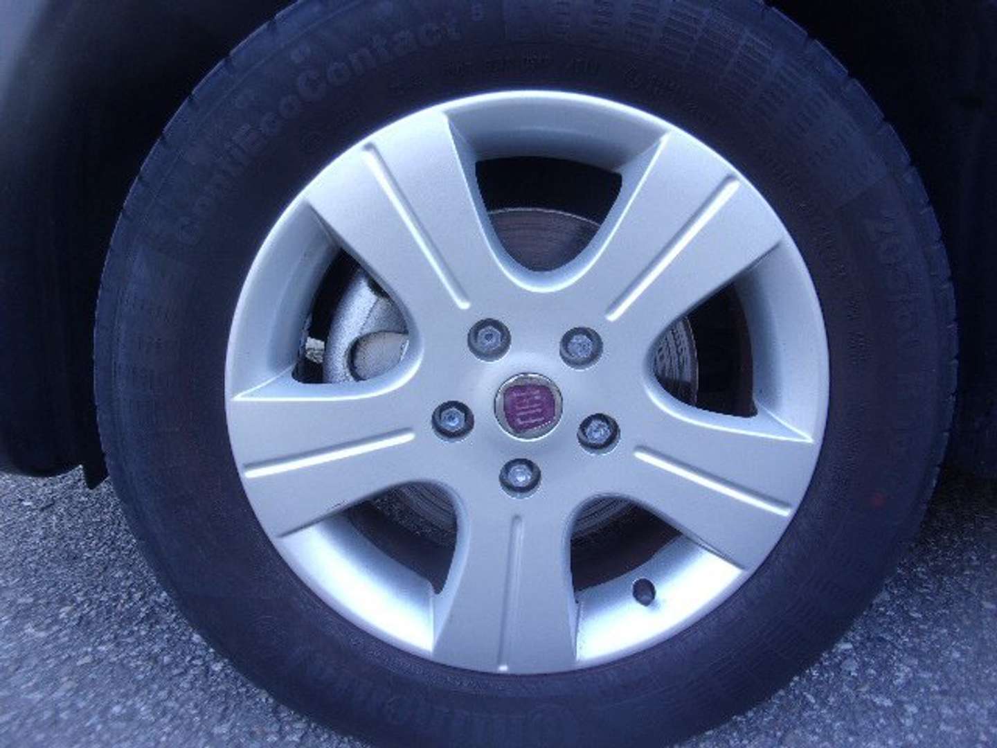 Autocerfoglia