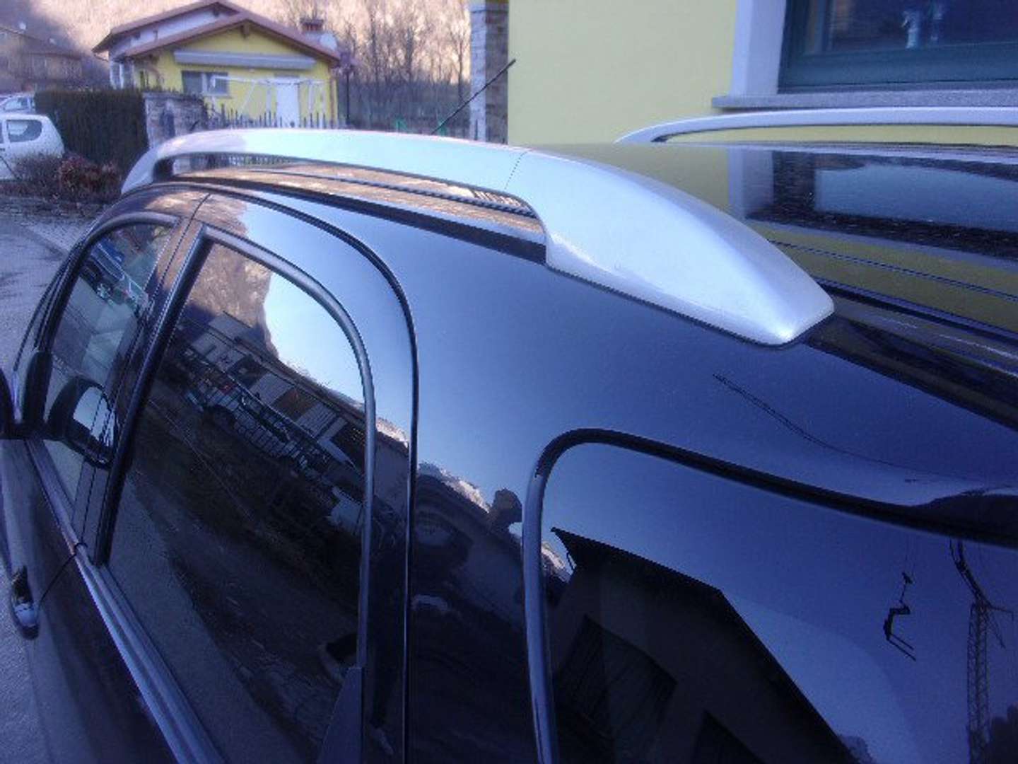Autocerfoglia