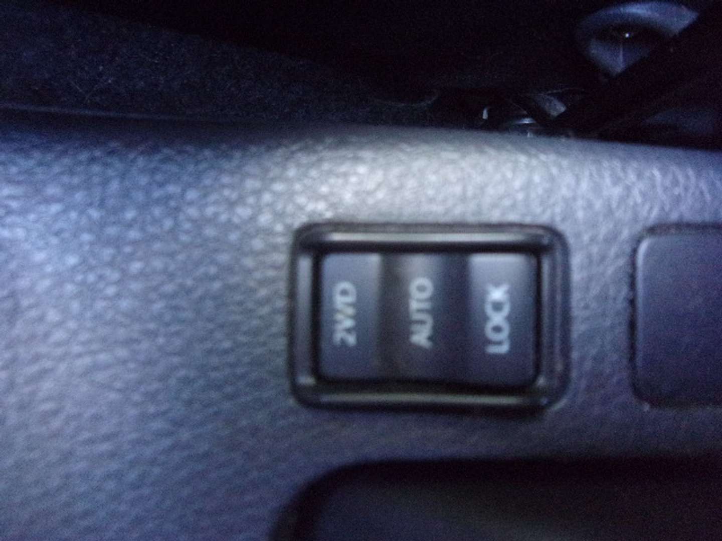 Autocerfoglia