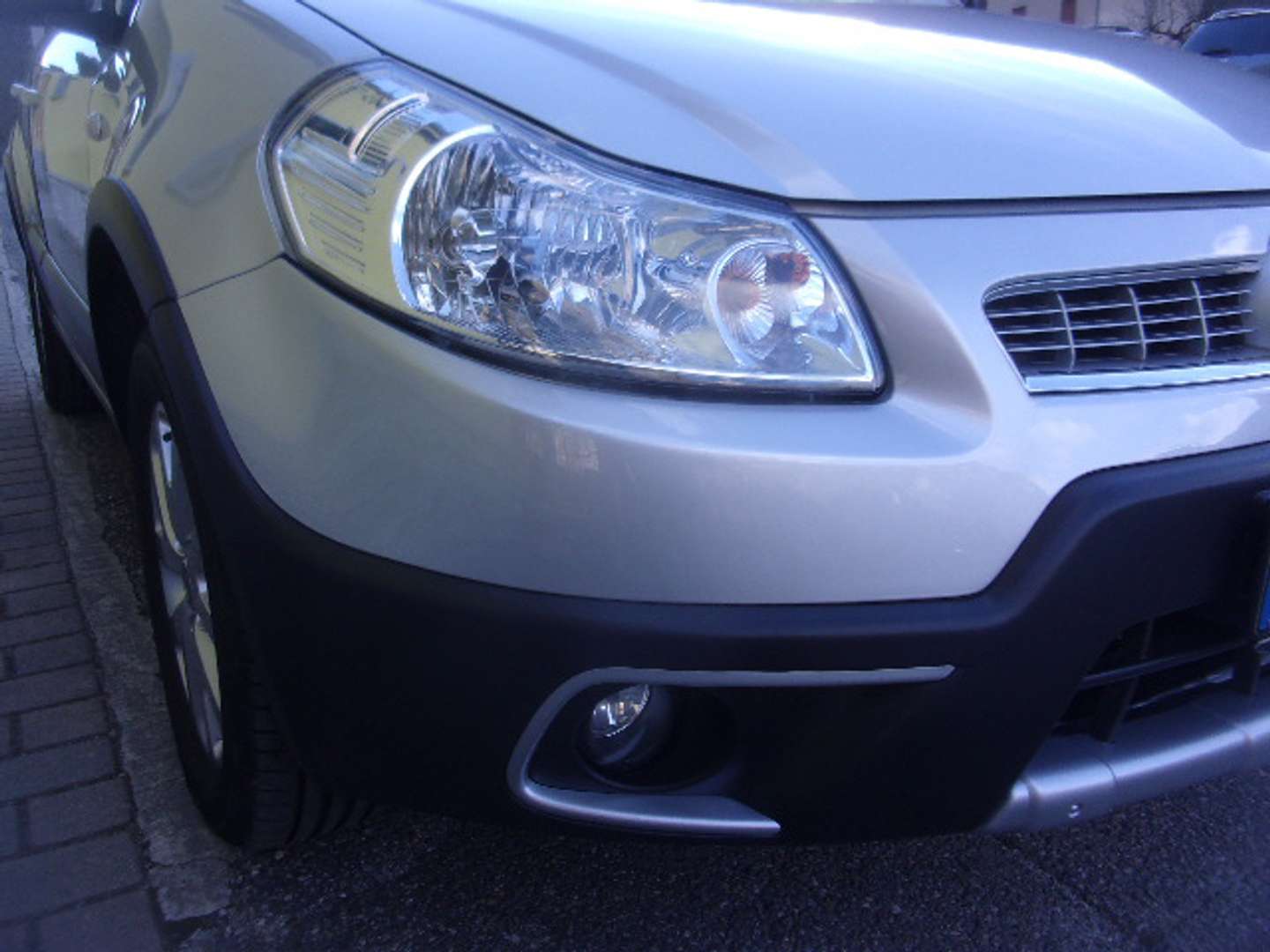 Autocerfoglia