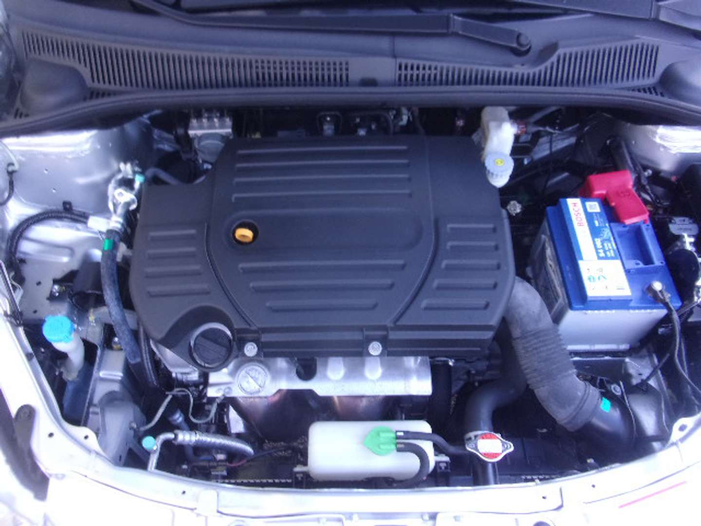 Autocerfoglia