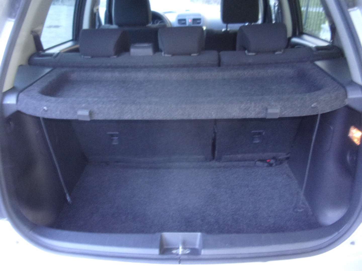 Autocerfoglia