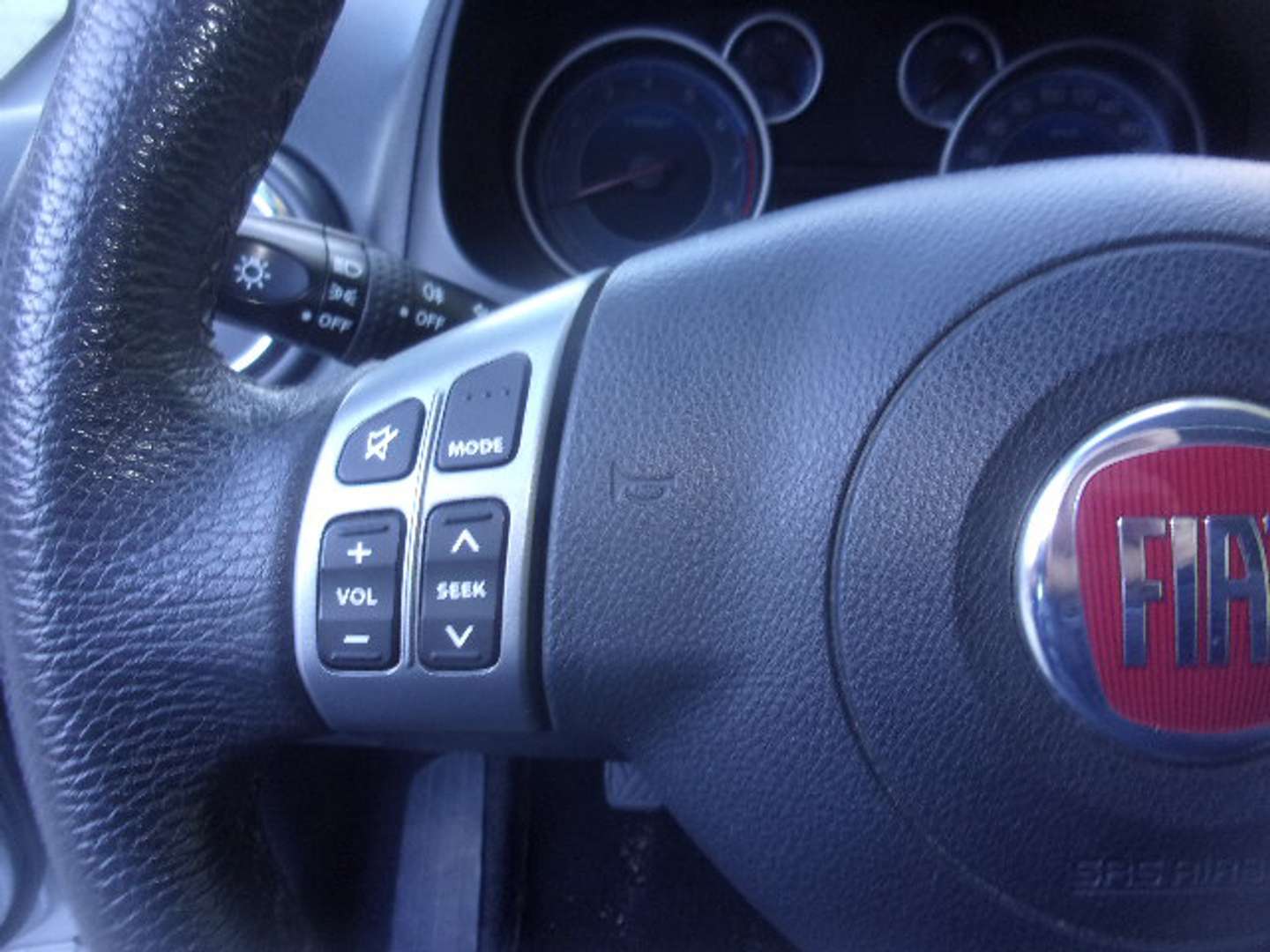 Autocerfoglia