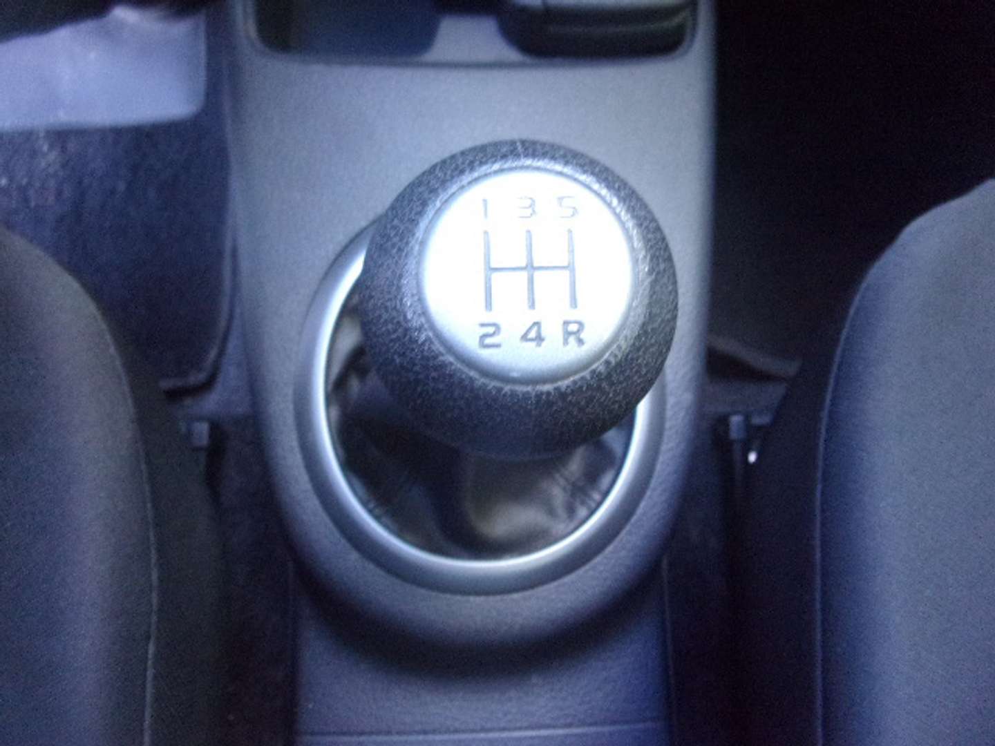 Autocerfoglia
